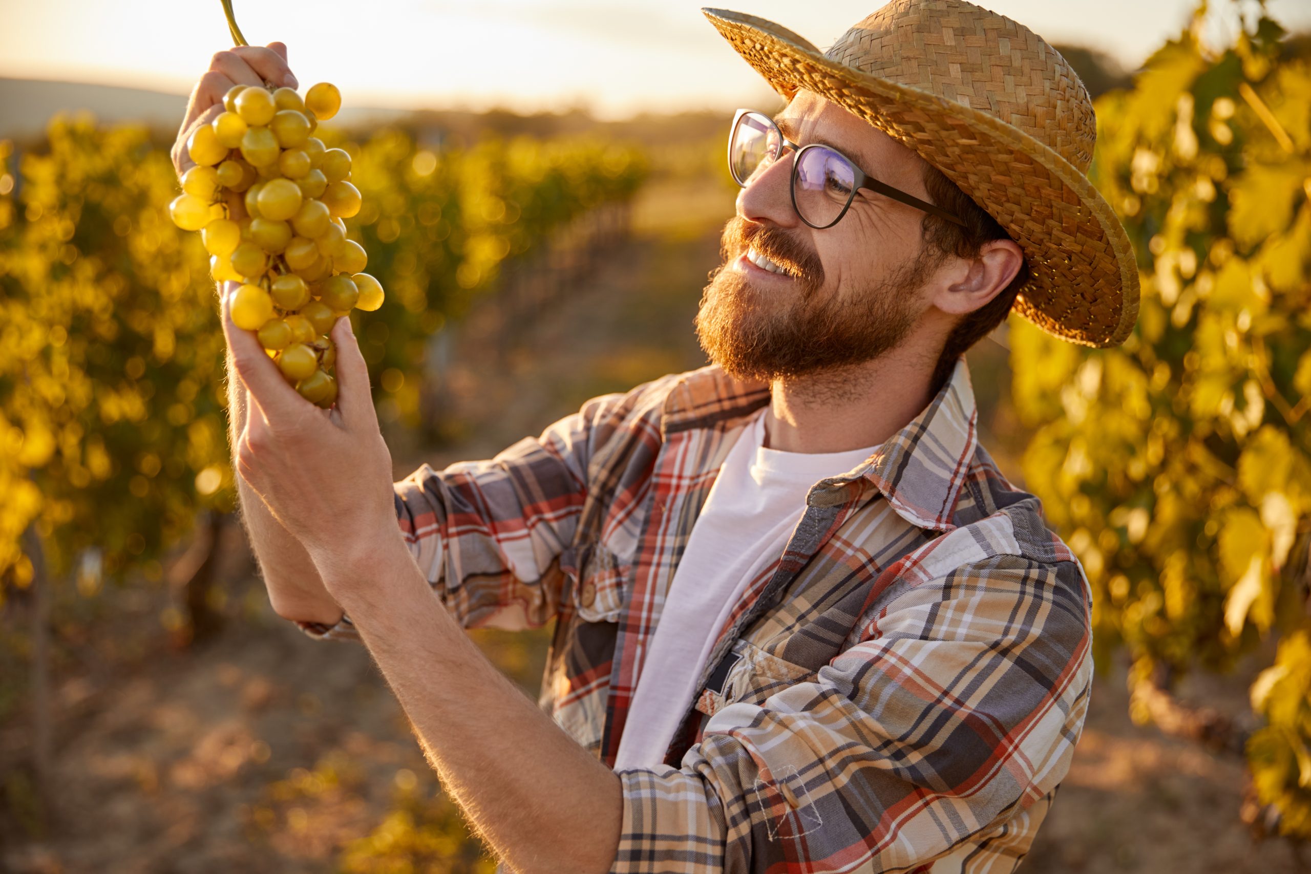 Cheerful,Bearded,Male,Farmer,In,Glasses,And,Hat,Smiling,And